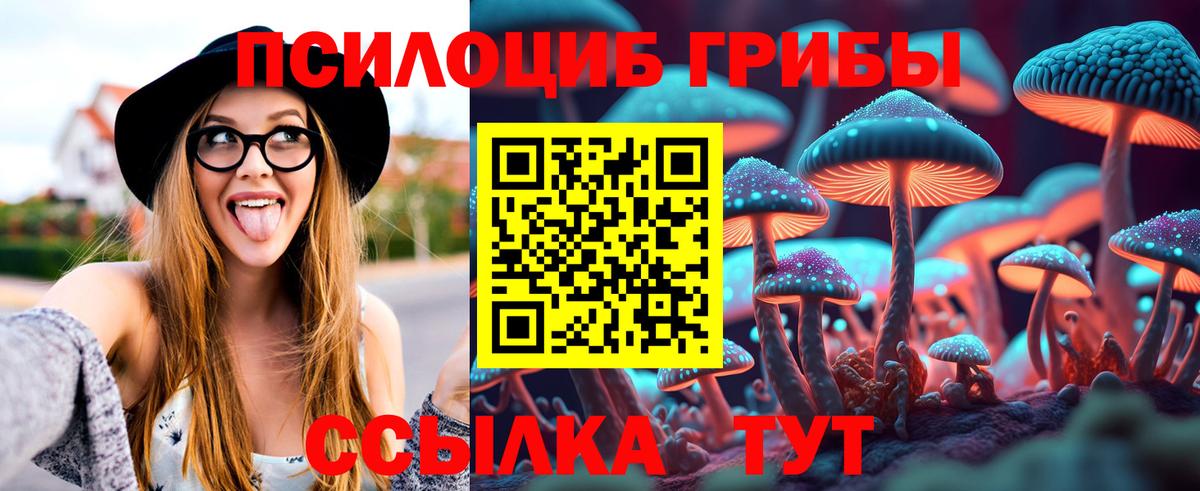 Псилоцибиновые грибы мухоморы Новоалтайск