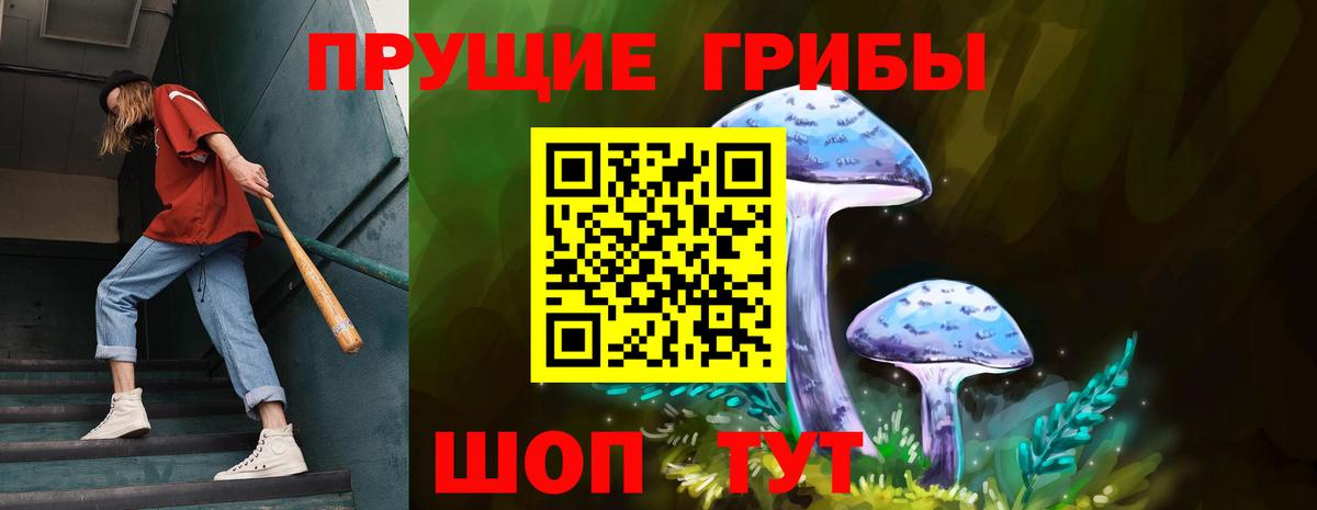 Галлюциногенные грибы Psilocybe  Вход с VPN  Новоалтайск 
